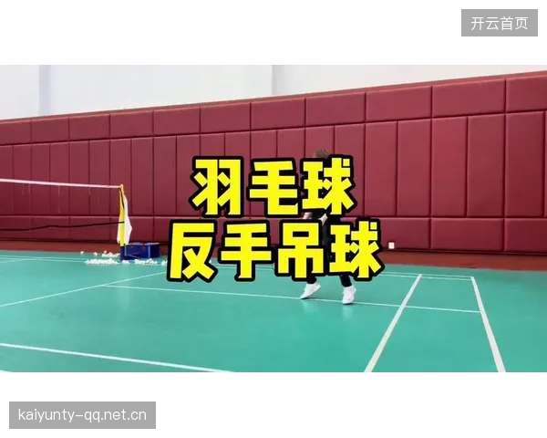 羽毛球一记反手封杀成为当晚神图